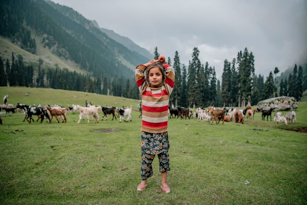 Digital nomad kid: kid in a striped red and white shirt in a field with a herd of cows behind him